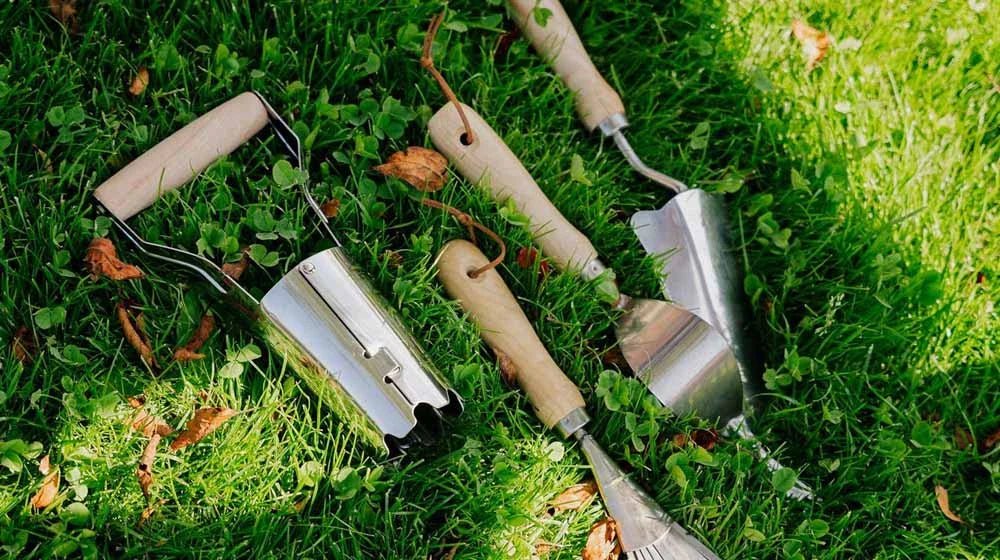 Akcesoria - Blomea.pl