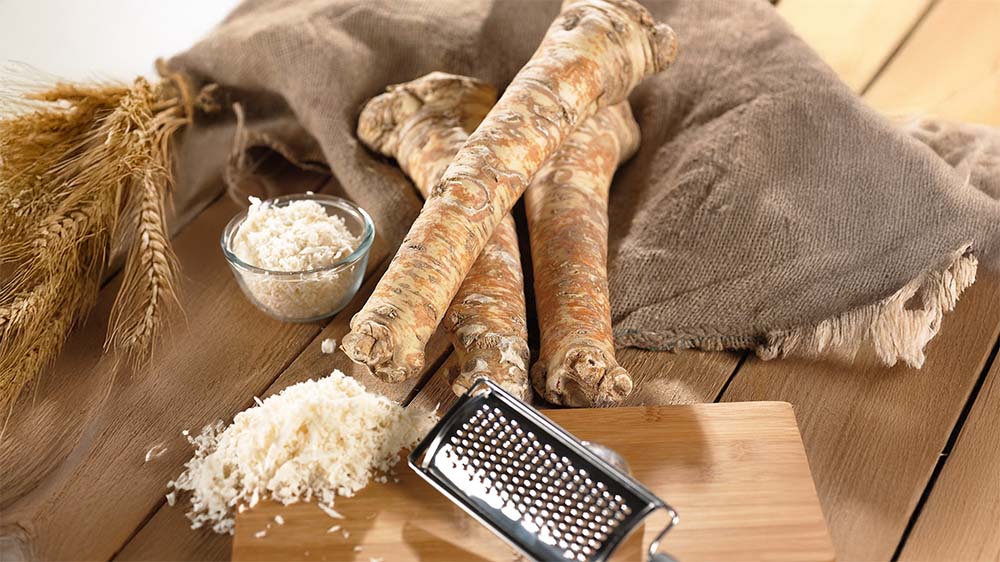 Chrzan pospolity - Blomea.pl