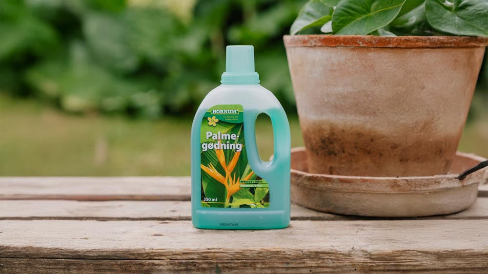 Nawóz do palm - Blomea.pl