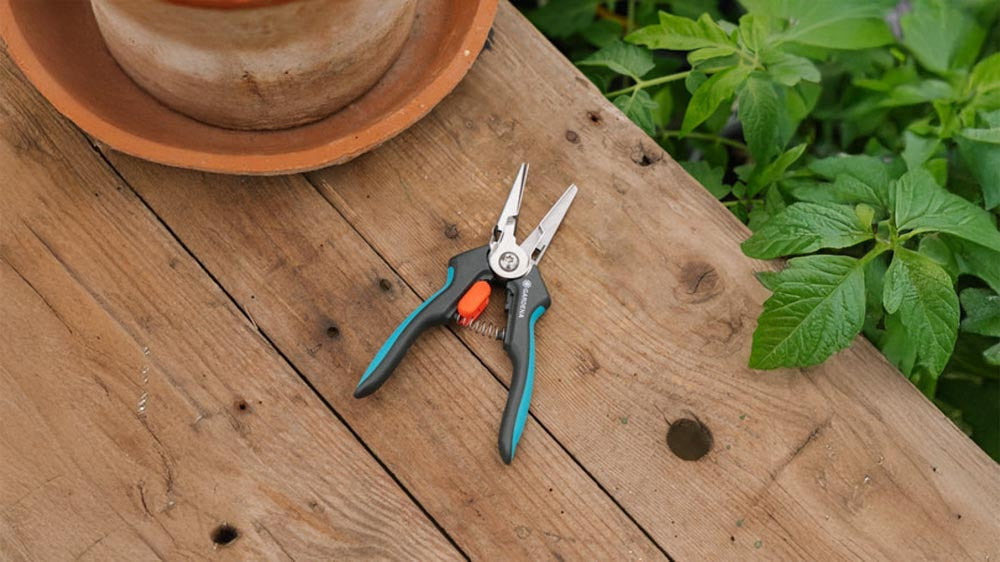 Nożyczki - Blomea.pl