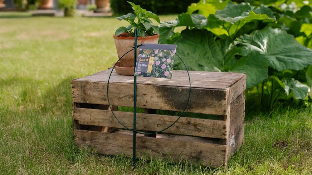 Podpory do roślin - Blomea.pl