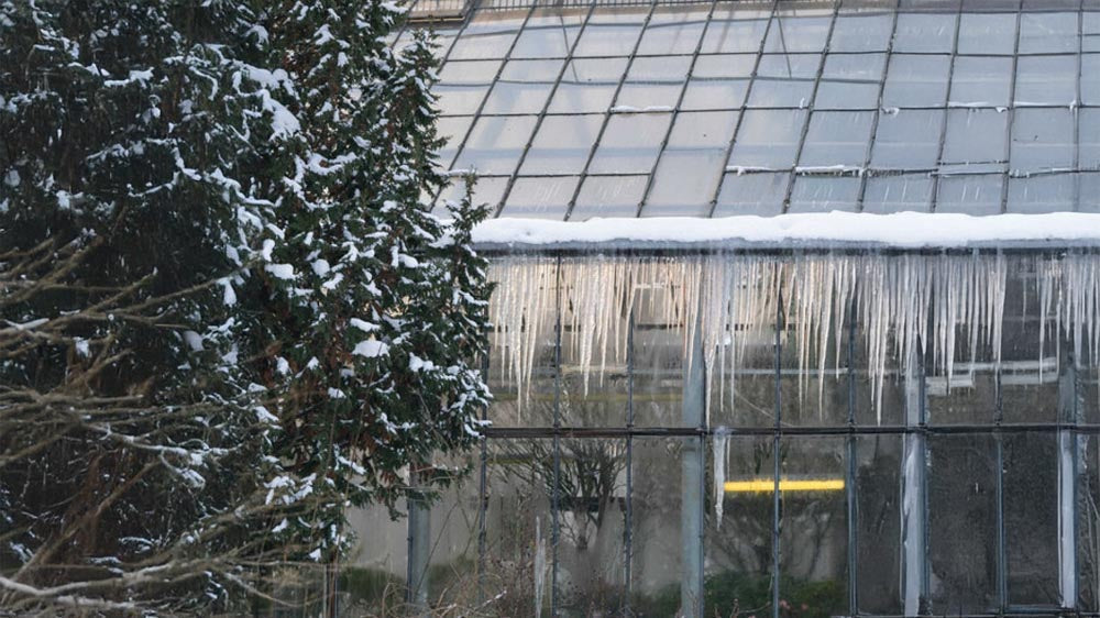 Poza sezonem - Blomea.pl