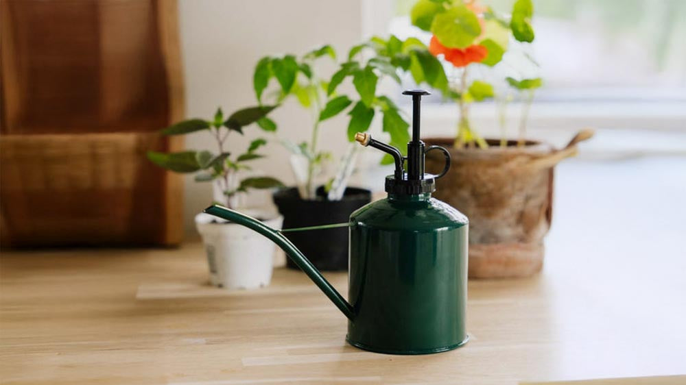 Rozpylacz - Blomea.pl