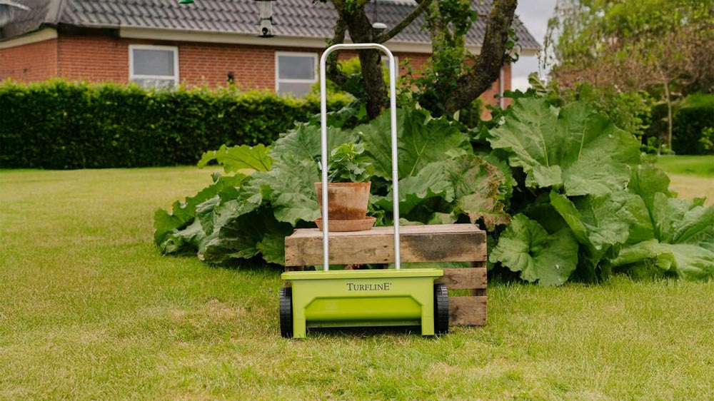 Siewnik do trawy - Blomea.pl