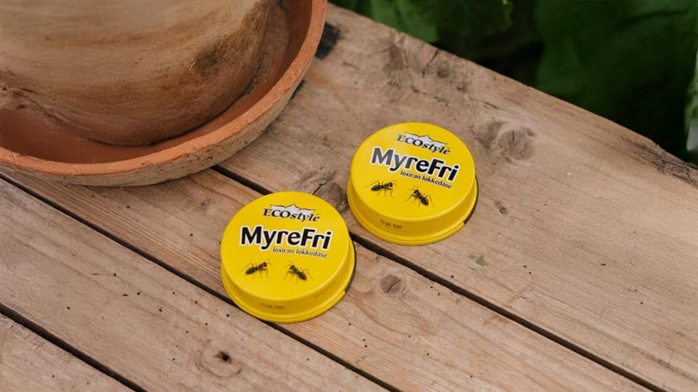 Zwalczanie mrówek ECOstyle - Blomea.pl