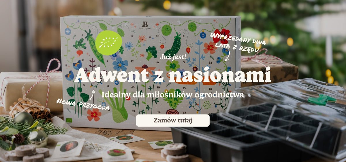 slider image slider_item_j6HeEe