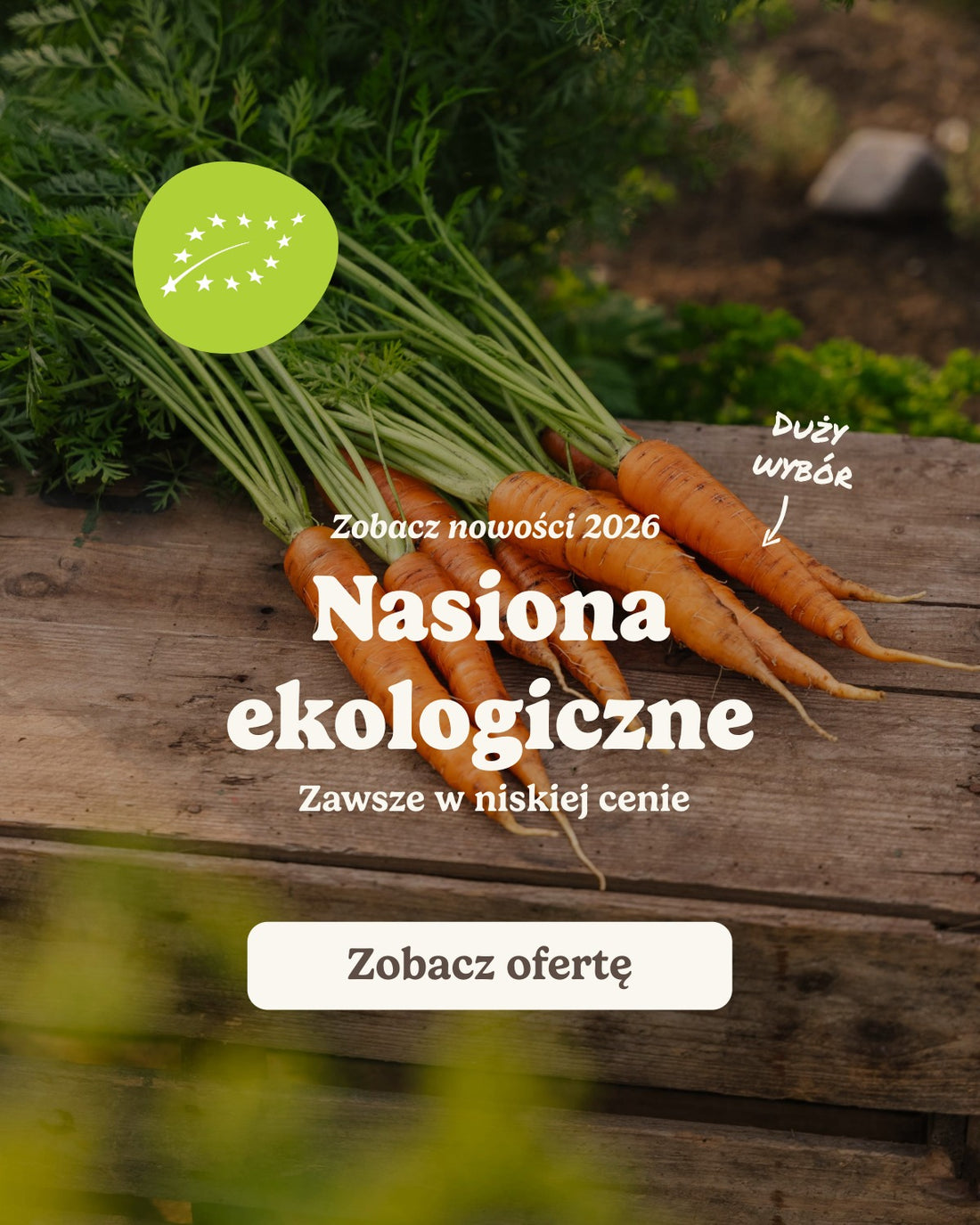 slider image slider_item_FrzzxC