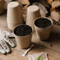 Biodegradowalna doniczka z włókien naturalnych 10 cm, 12 sztuk