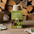 Biodegradowalna doniczka z włókien naturalnych 10 cm, 12 sztuk
