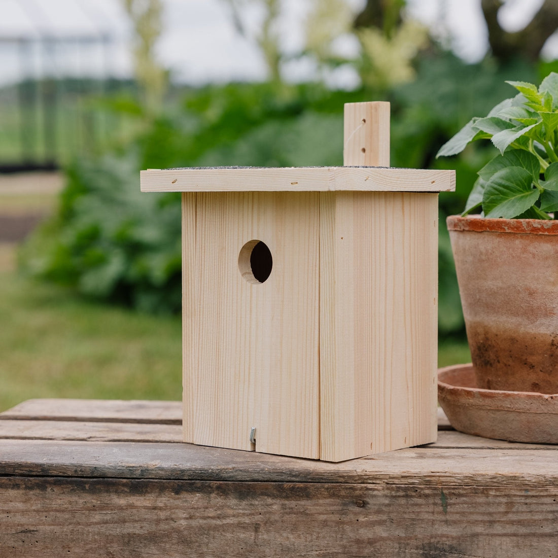 Budka dla ptaków, naturalna, dł.: 19 cm szer.: 19 cm wys.: 22 cm