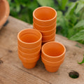 Doniczki z terakoty 4/5 cm, 12 sztuk
