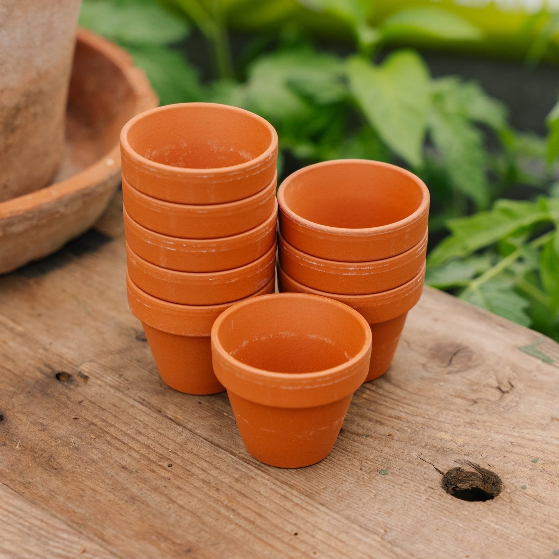 Doniczki z terakoty 5/6 cm, 9 sztuk