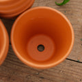 Doniczki z terakoty 7/8 cm, 7 sztuk