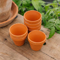 Doniczki z terakoty 7/8 cm, 7 sztuk