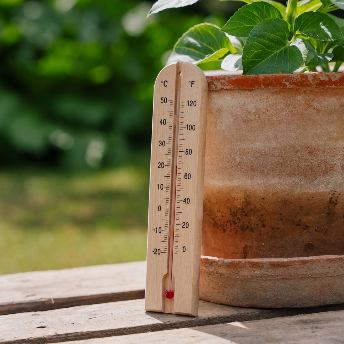 Drewniany termometr