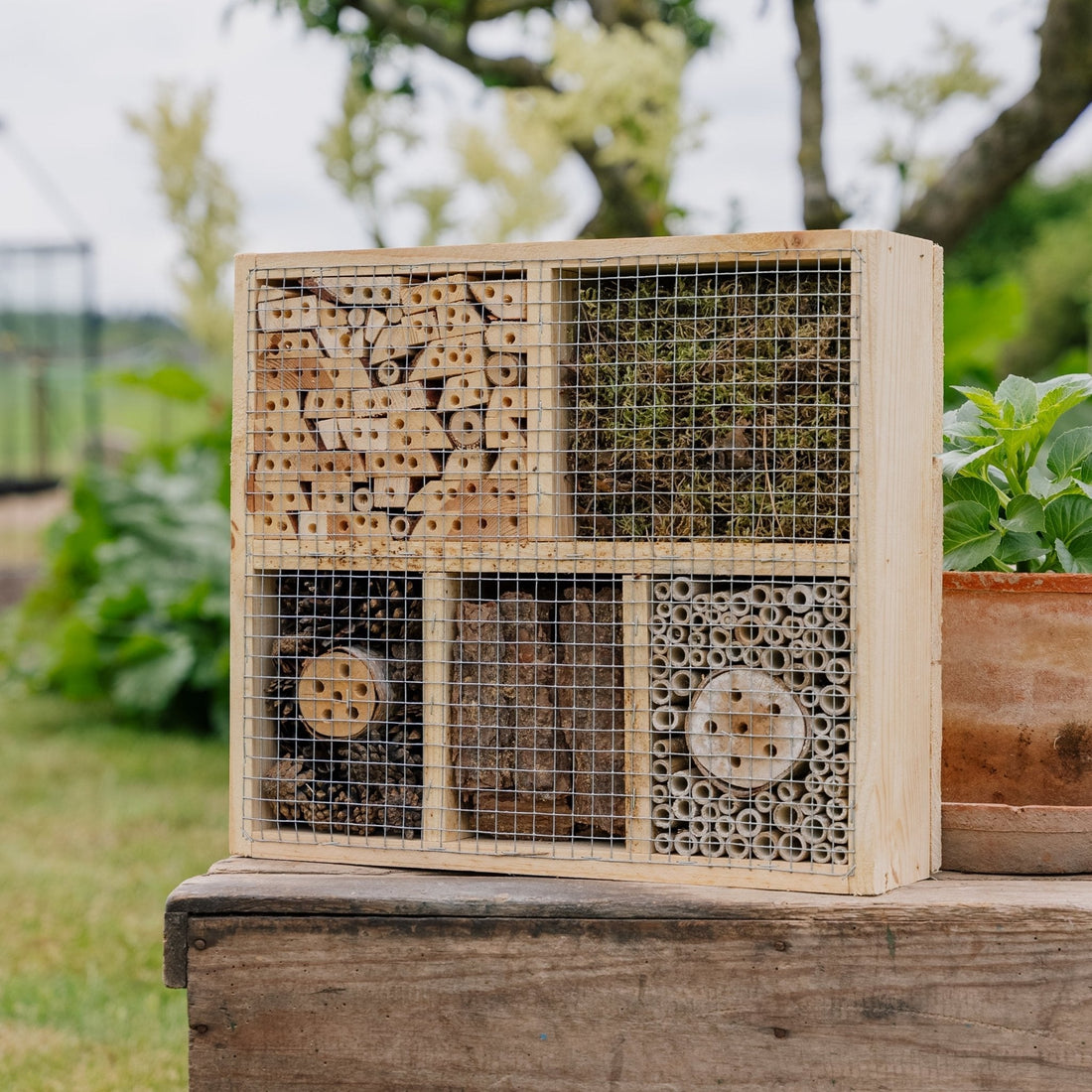 Hotel dla owadów, naturalny, dł.: 12 cm szer.: 38 cm wys.: 43 cm