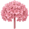 Bergenia goły korzeń