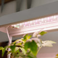 Lampa do uprawy, biała, dł.: 17,5 cm, szer.: 42,4 cm, wys.: 36,5 cm