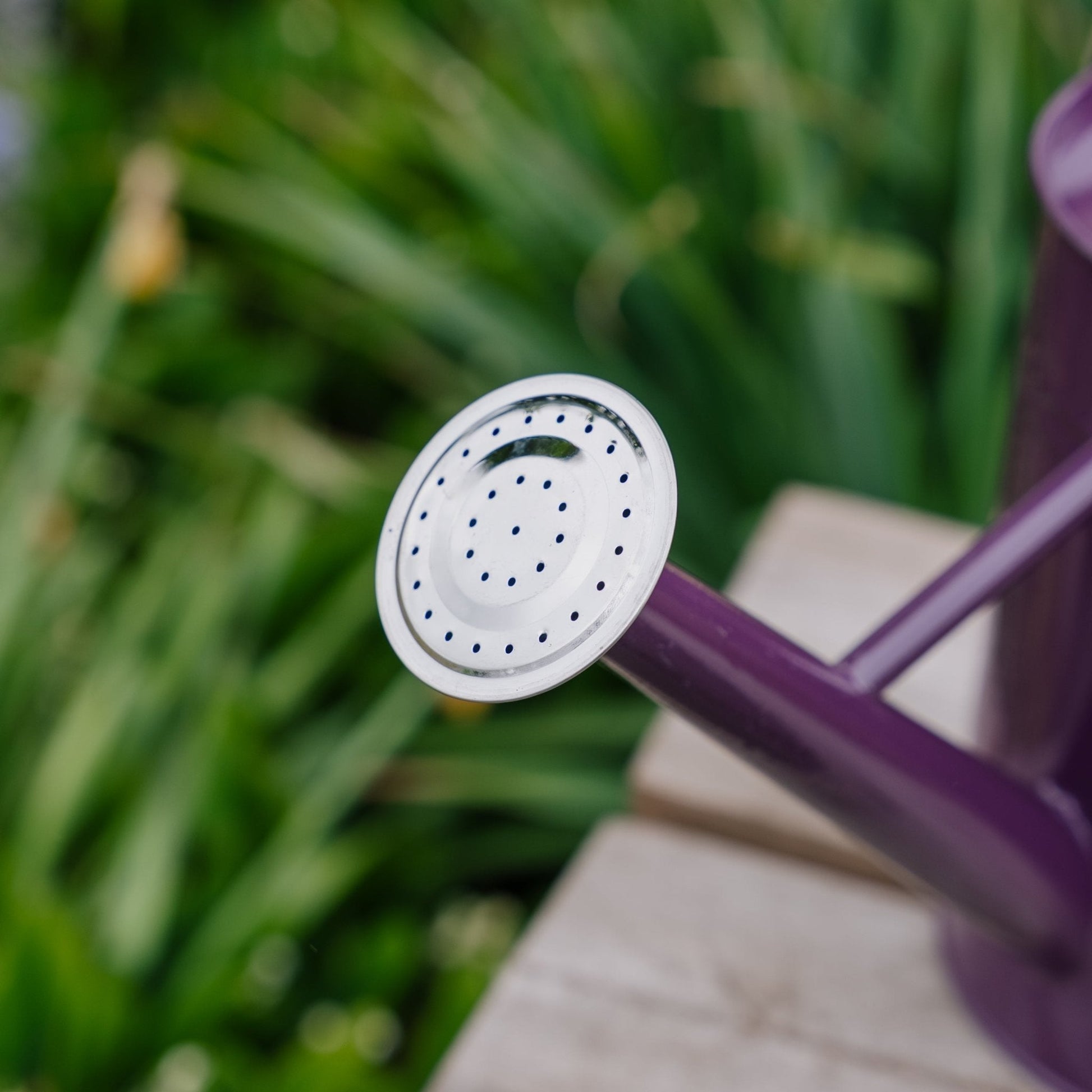 Metalowa konewka 4,5 L, głęboki fiolet