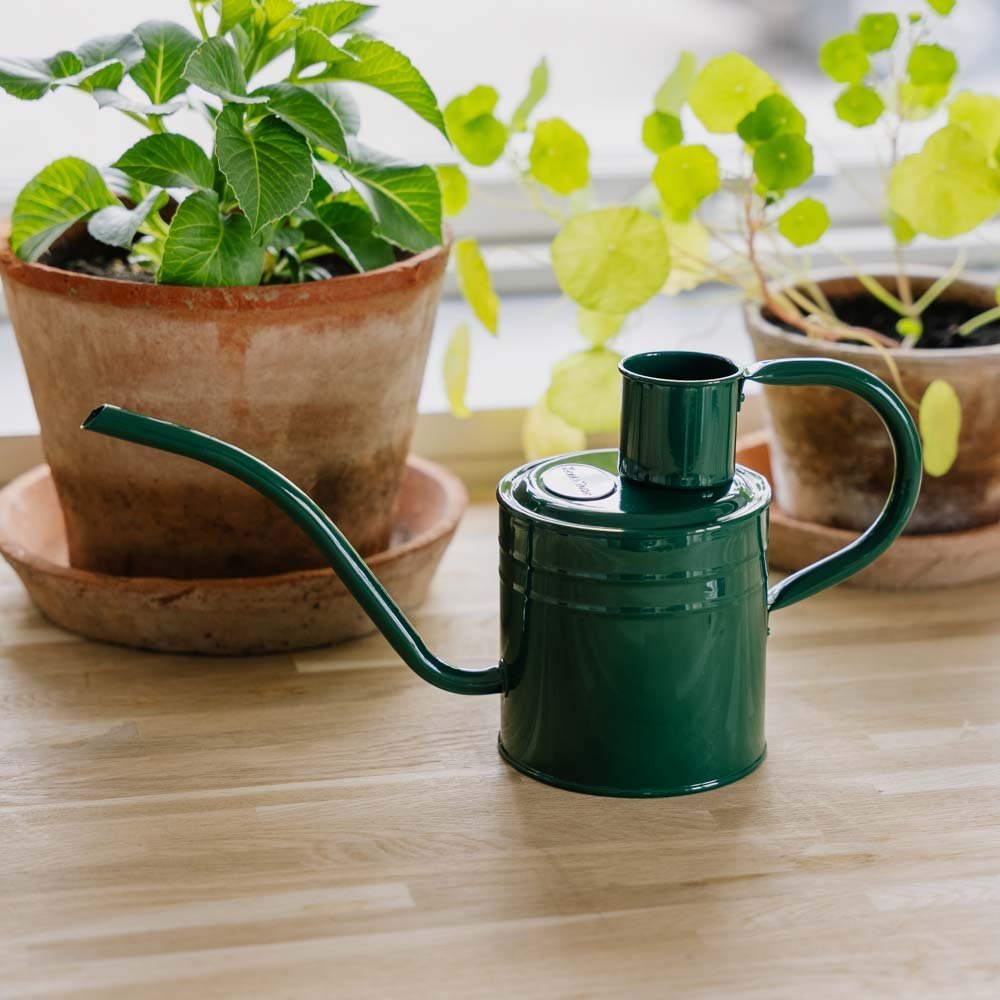 Metalowa konewka do wnętrz, 1 l, leśna zieleń