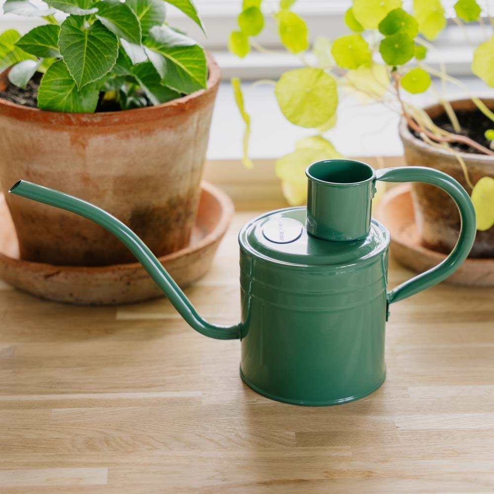 Metalowa konewka do wnętrz, 1 l, zielony szałwiowy
