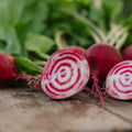 Nasiona buraka ćwikłowego 'Chioggia' - 50 ekologicznych nasion