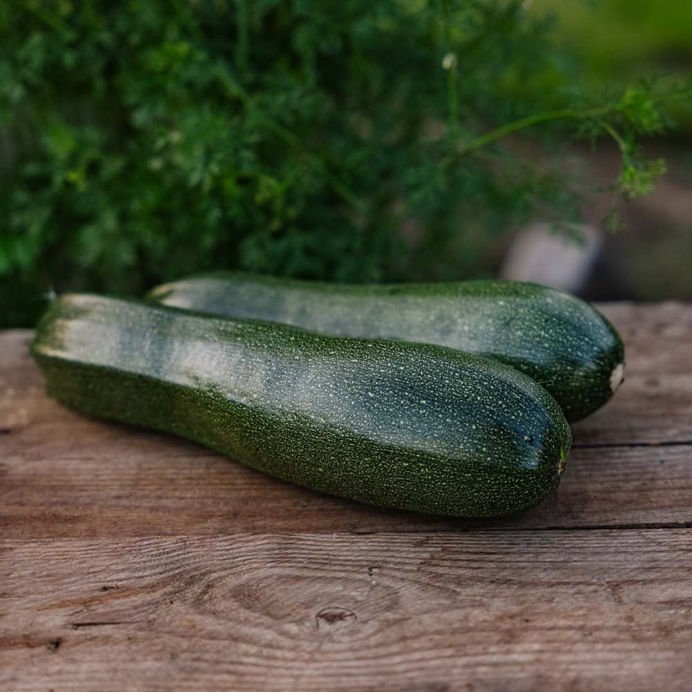 Nasiona cukinii 'Zucchini' - 6 ekologicznych nasion