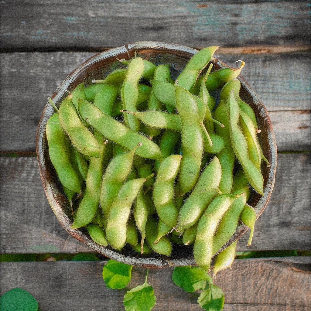 Nasiona edamame 'Chiba Green' - 5 ekologicznych nasion