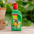 Nawóz do cytrusów i oliwek 500 ml