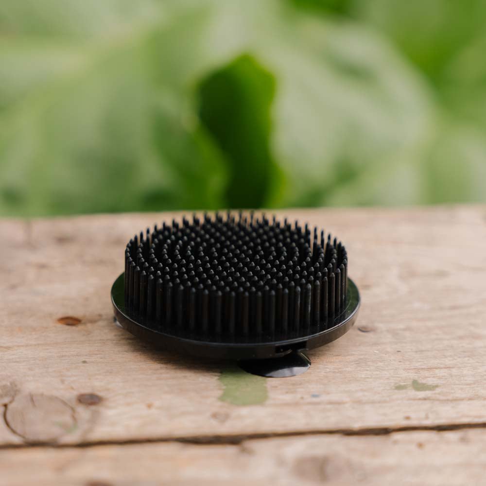 PIerścień do łodyg, czarny (plastik), Ø: 6,9 cm