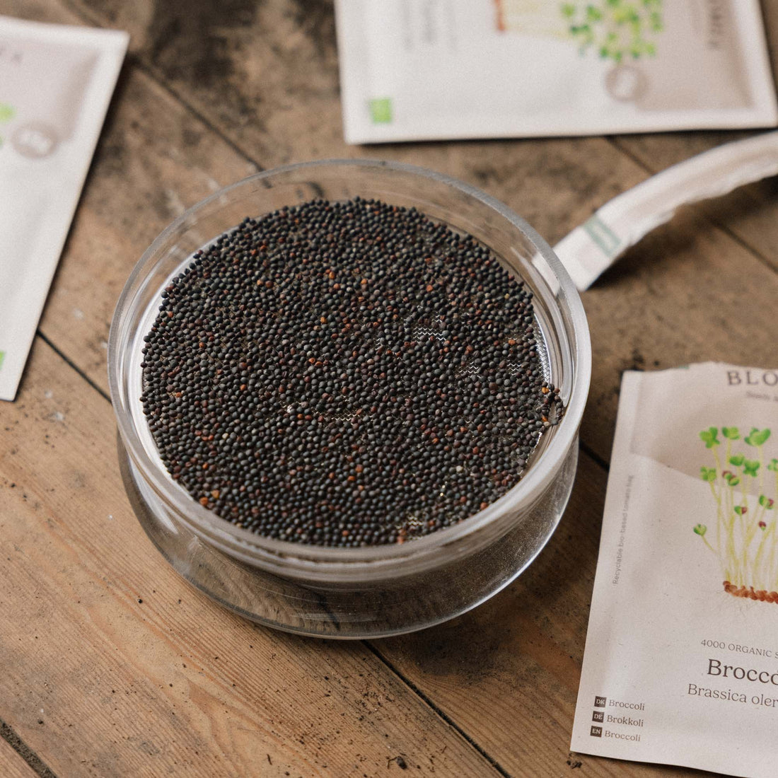 Pojemnik do kiełkowania mikroliści