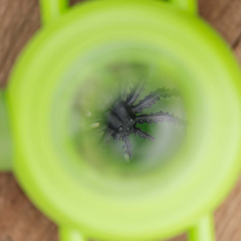 Pojemnik na owady dla dzieci