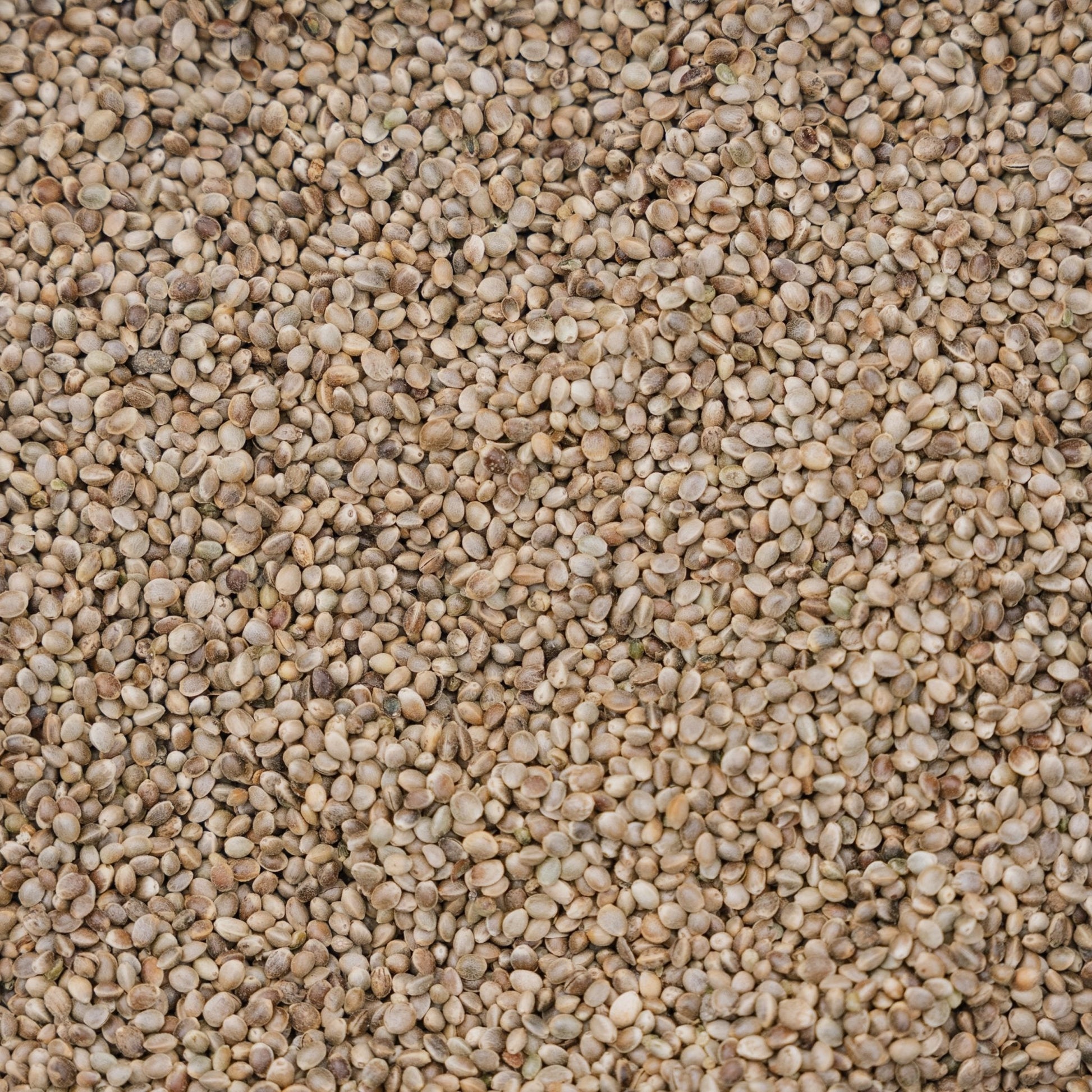 Pokarm dla ptaków, Hemp de Luxe, 5 L