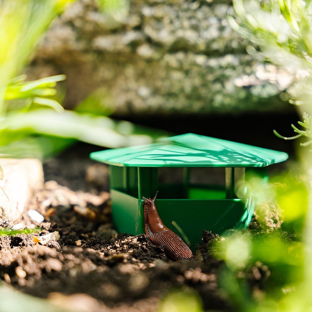 Pułapka na ślimaki, 2 sztuki