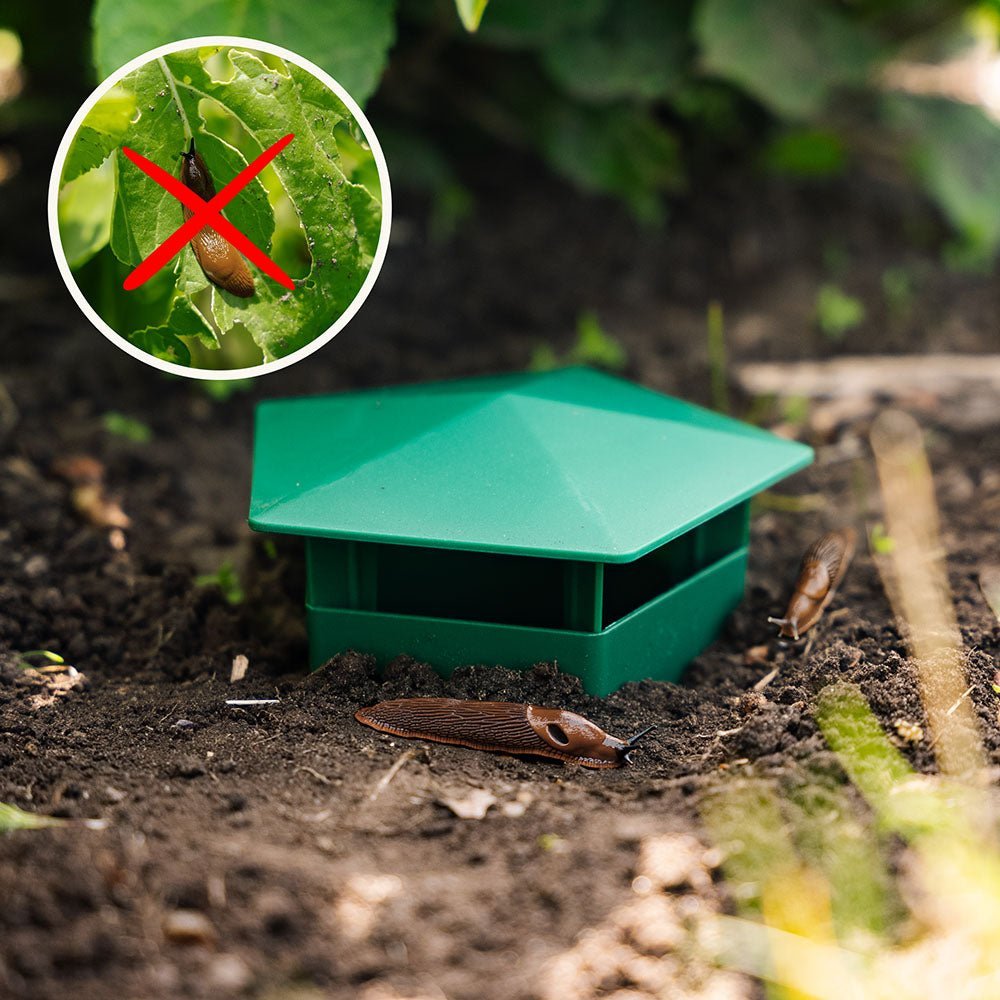 Pułapka na ślimaki, 2 sztuki