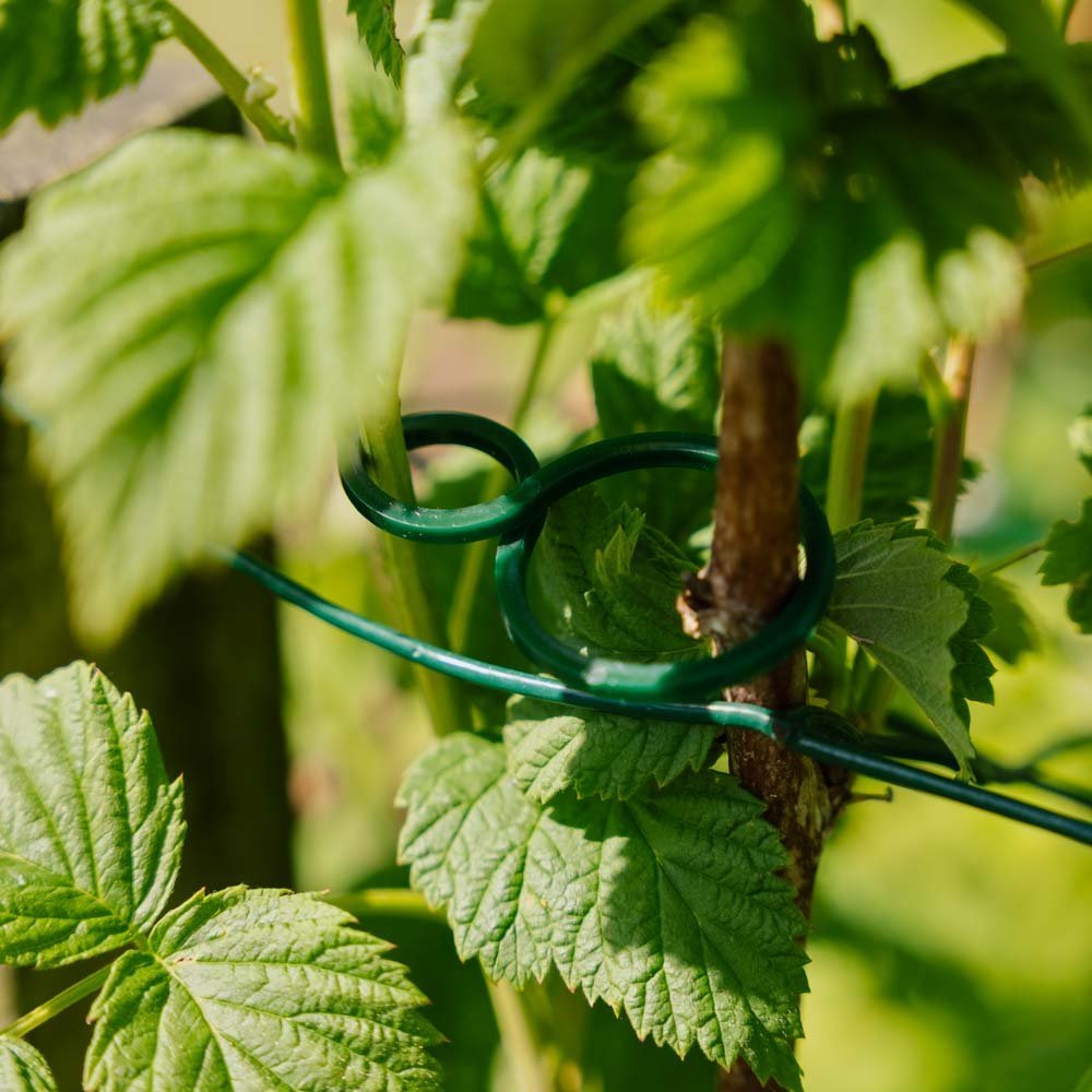 Regulowane skręcane pierścieniei do mocowania roślin, 3 szt.