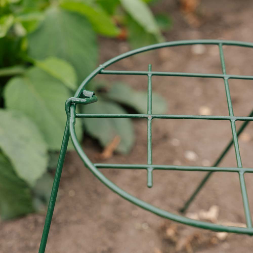 Siatka podporowa dla roślin, szerokość 30 cm, wysokość 45 cm