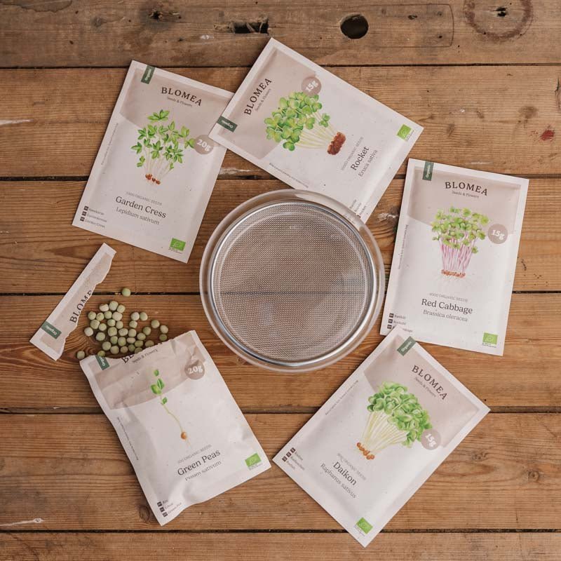 Skrzynka na mikroliście z kiełkami kapusty