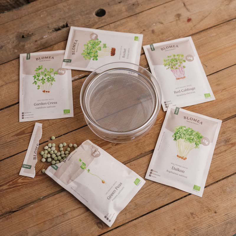 Skrzynka na mikroliście z kiełkami kapusty