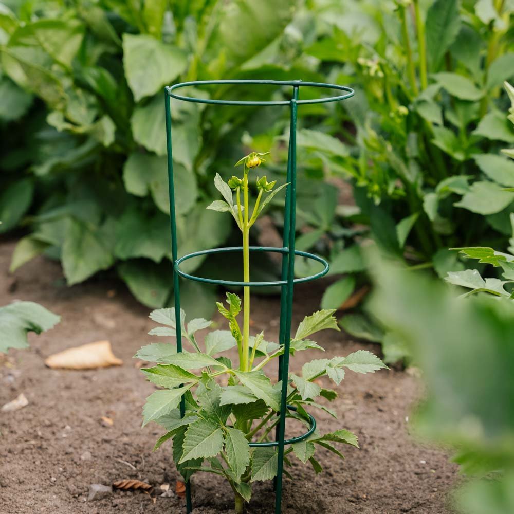 Stożkowa podpora do roślin, długość 18 cm, szerokość 18 cm, wysokość 48 cm