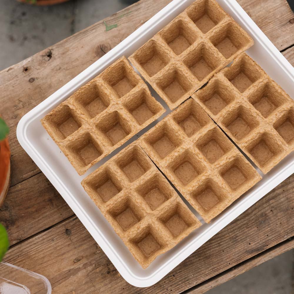 Taca do wysiewu z 30 eko doniczkami