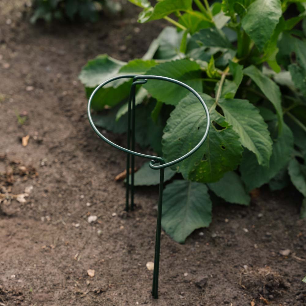 Wspornik do roślin, szerokość 20 cm, wysokość 35 cm