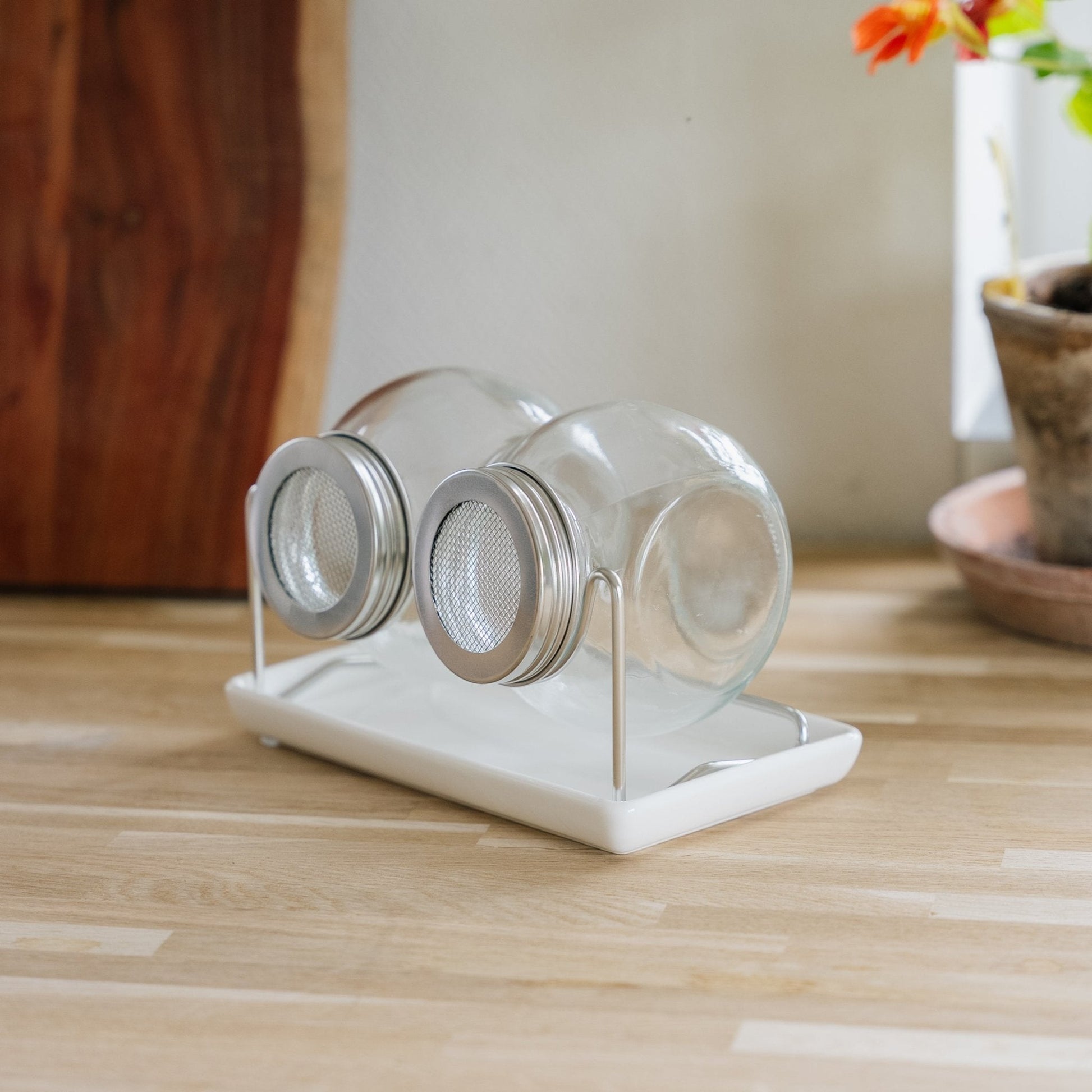 Zestaw do kiełkowania z tacką