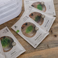 Zestaw microgreens z wieżą kiełkowniczą
